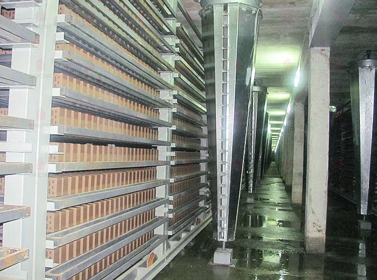 Droogmachine van cycloonafscheider voor het drogen van kleibakstenen in de verwerking 1