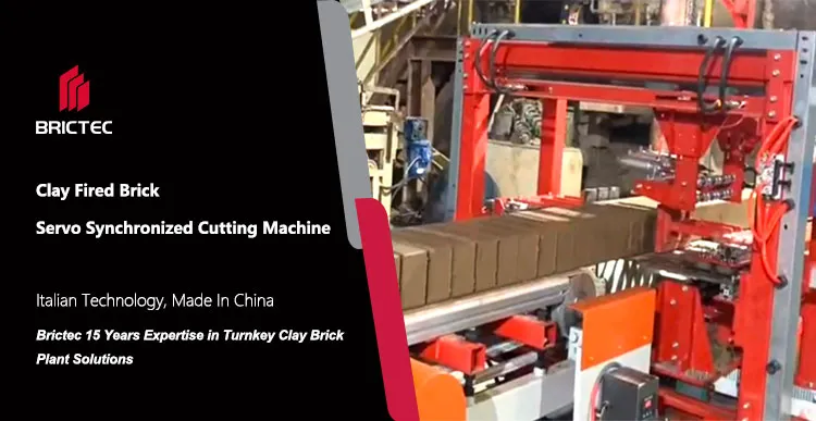 Baksteenproductiemachines van snijmachine met gesynchroniseerde & hoge snelheid & continue productie 0