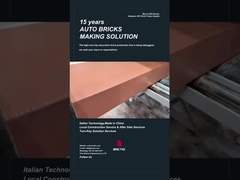 Inbedrijfstelling van de productielijn voor decoratieve bakstenen van Brictec